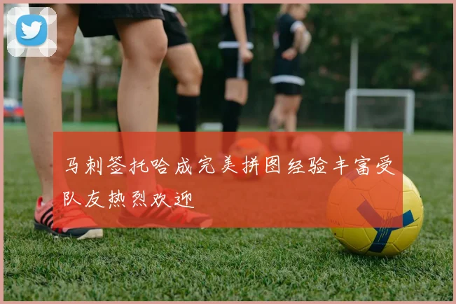 马刺签托哈成完美拼图经验丰富受队友热烈欢迎
